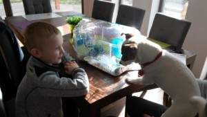 chillout (1)